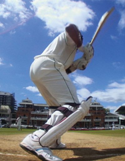 Cricket StumpCam