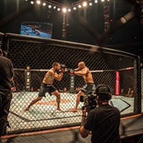 UFC